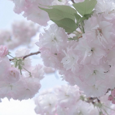 荆门FurryQQ群介绍